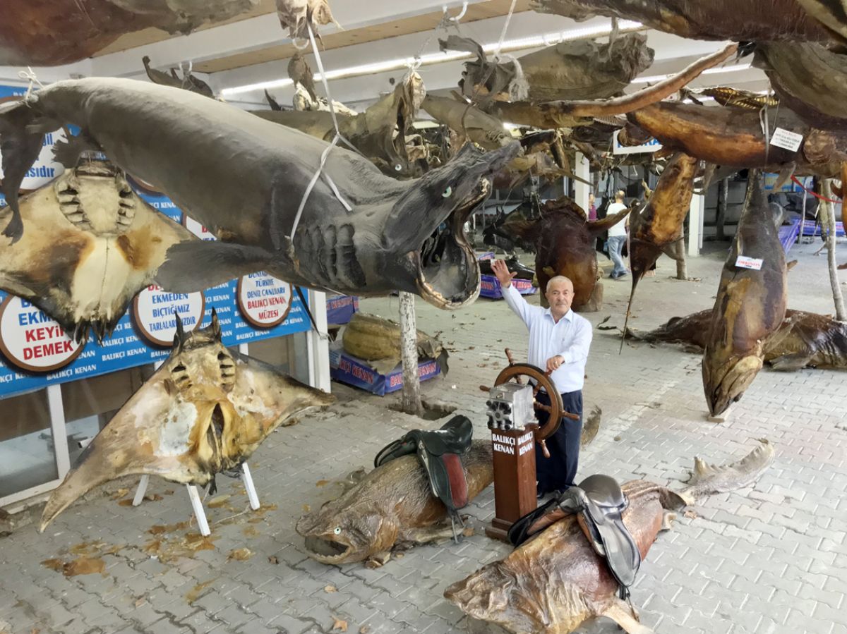unser fischmarkt - bizim balikci