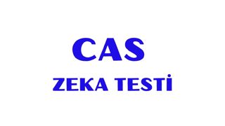 CAS ZEKA TESTİ