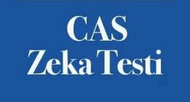 CAS (Bilişsel Değerlendirme Sistemi) Testi