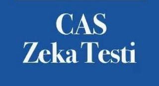 CAS (Bilişsel Değerlendirme Sistemi) Testi